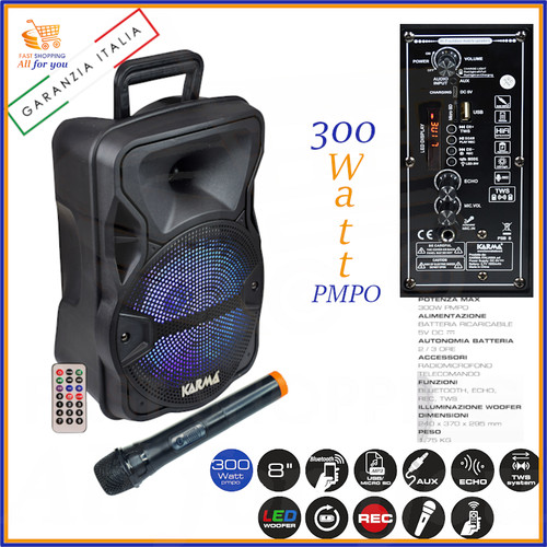 Cassa karaoke bluetooth